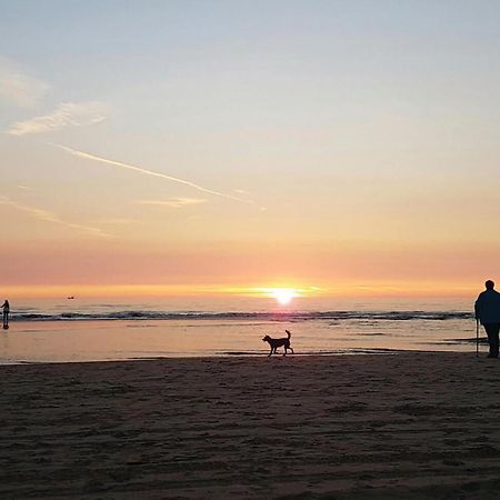 2 Bedroom Pet Friendly Home In Egmond Aan Zee Kültér fotó